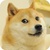 web-logo-doge